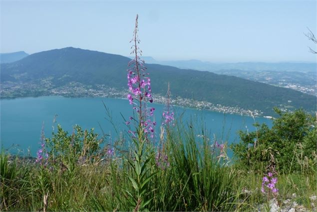 Vue sur le lac annecy depuis le Mont Veyrier - B FEL