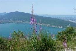 Vue sur le lac  annecy depuis le Mont Veyrier - B FEL