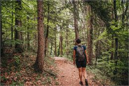 Passage en forêt - Faucigny Glières Tourisme