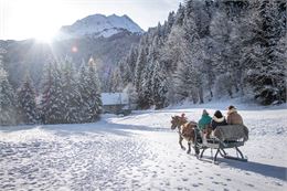 Traineau à cheval aux Contamines Montjoie - Les Contamines Tourisme