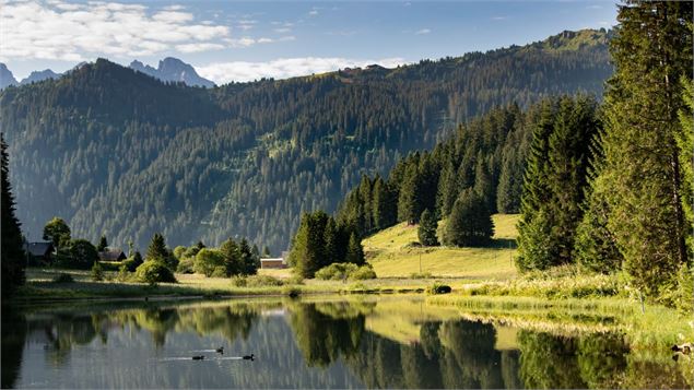 Lac de Morgins - litescapemedia