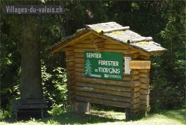 Morgins - Sentier Forestier