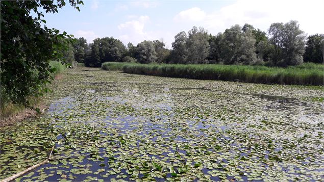 Etangs de Crosagny - ML Frescurat