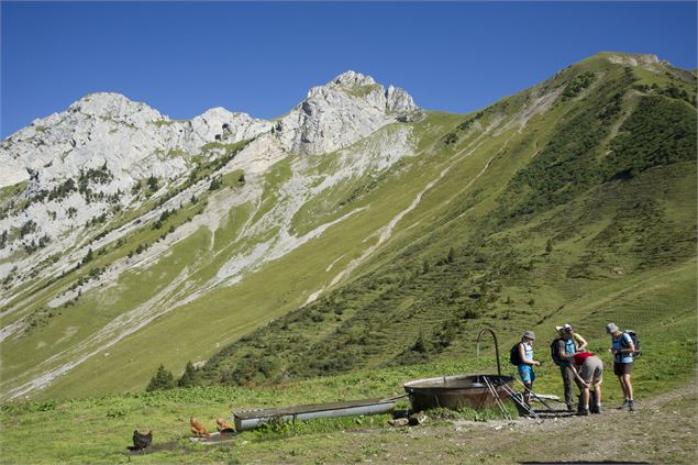 Aulp de Seythenex - SavoieMontBlanc-Lansard