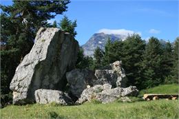 Pierre à Laya - Alexandra HOTE