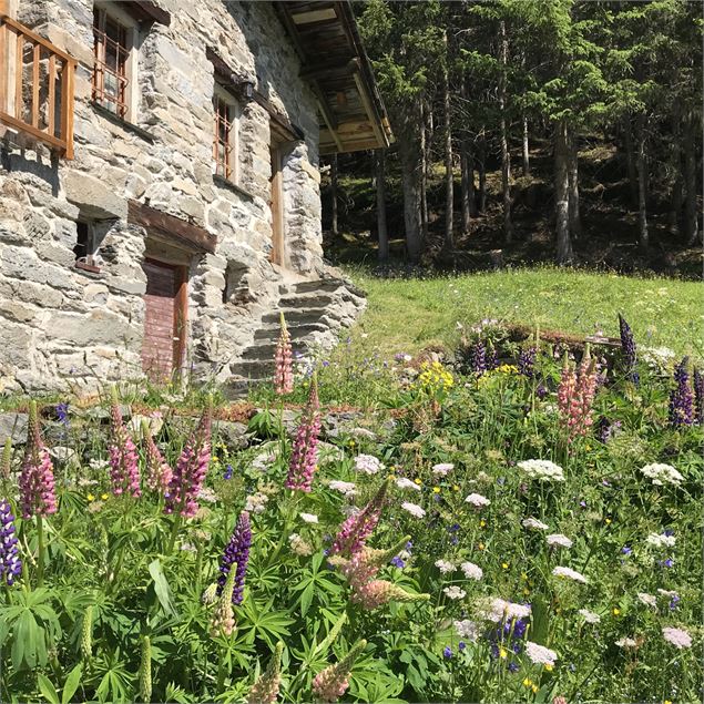 Chemin du Vaz - La Rosière Tourisme