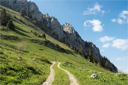 Le Mont-Ouzon - Yvan Tisseyre/OT Vallée d'Aulps