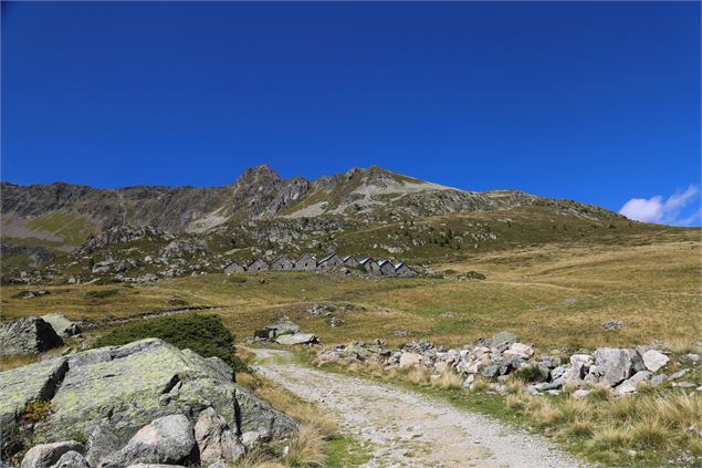 sentier Loriaz - OT Vallée de Chamonix - Salomé ABRIAL