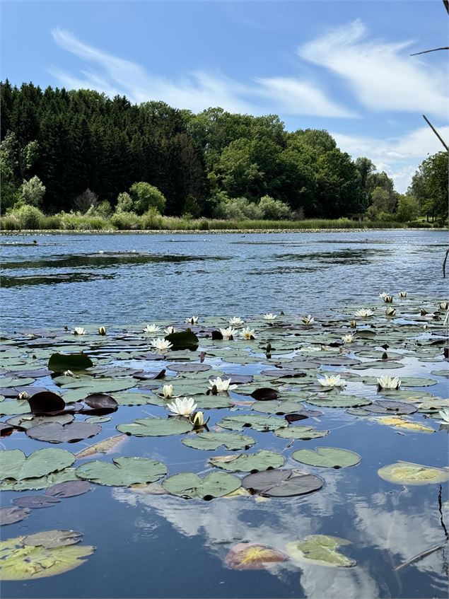 Lac du Môle - Solène Vuagnoux