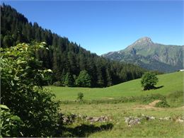 Alpage de Barbossine - GAEC Barbossine