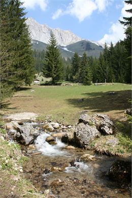 Ruisseau à Chevenne - La Chapelle d'Abondance - SMaxit