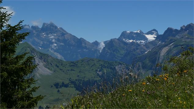 Panorama sur les montagnes l'été - Julie Lartillot