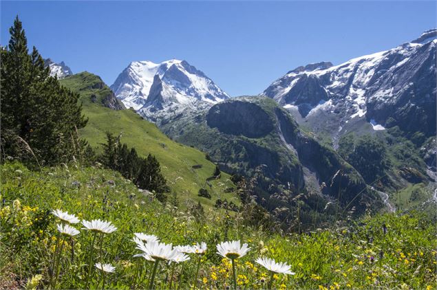 Pralognan-la-Vanoise sentier balcon Bochor