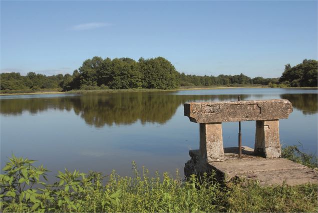 Etang de la Dombes et son Thou - Gilles BREVET / Aintourisme