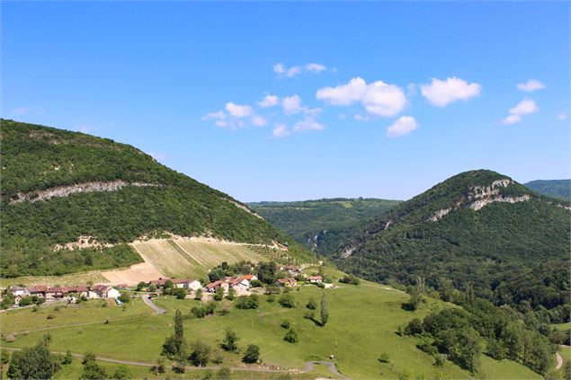 vignobles de Montagnieu - Marilou Perino