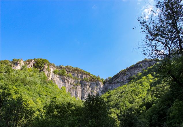 Massif du Bugey - Marilou Perino