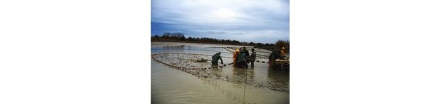 Route des Etangs de la Dombes Pêche traditionnelle