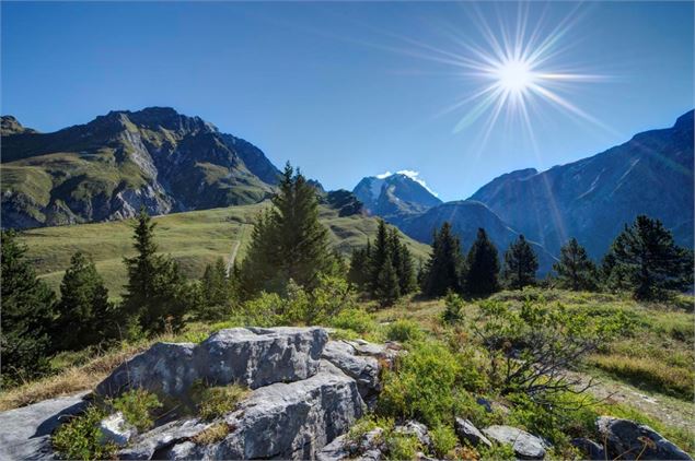 Le Mont Bochor - OT Pralognan