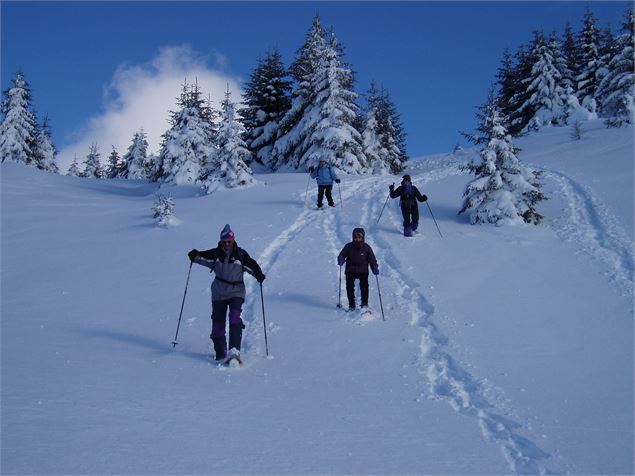 Rando hiver - Les Glaciers