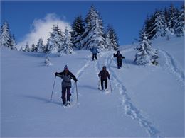 Rando hiver - Les Glaciers