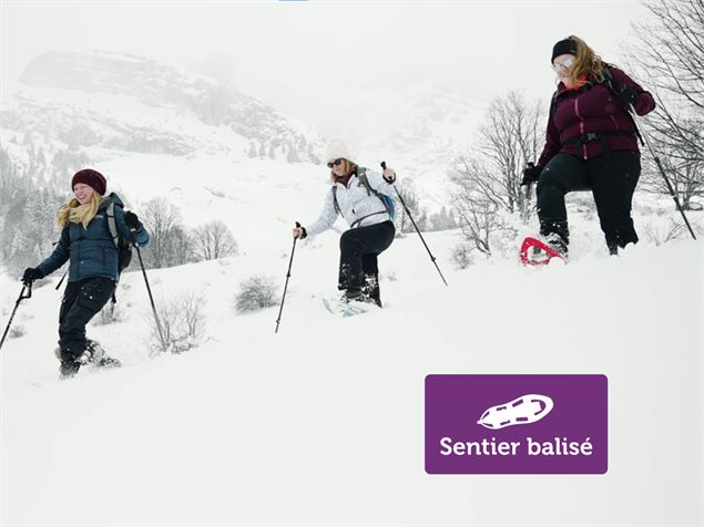 Raquettes - Elevation Films