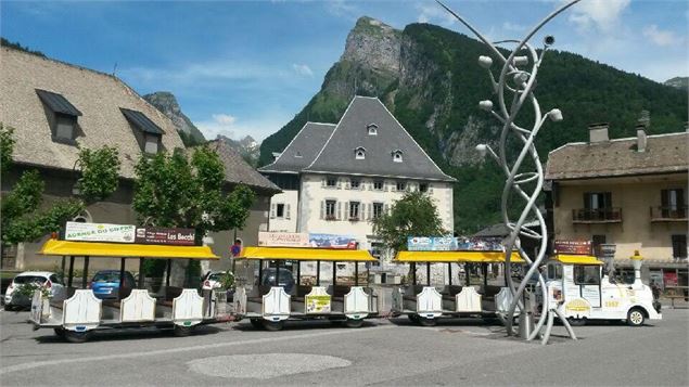 Septitrain : Pass Samoëns Liber'T