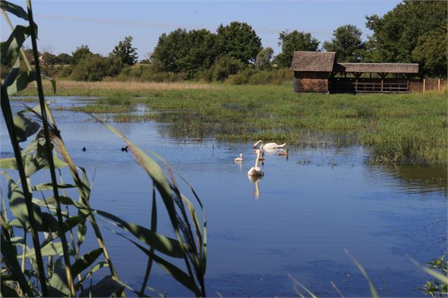 Observatoire Etang Prele - Claire CURT