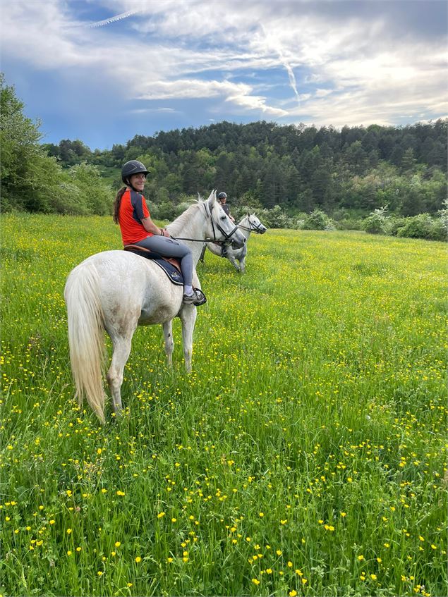 - Cheval Bugey