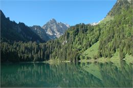 Randonnée du Lac de Tavaneuse au Lac de Tavaneuse à Abondance - Patrick Brault