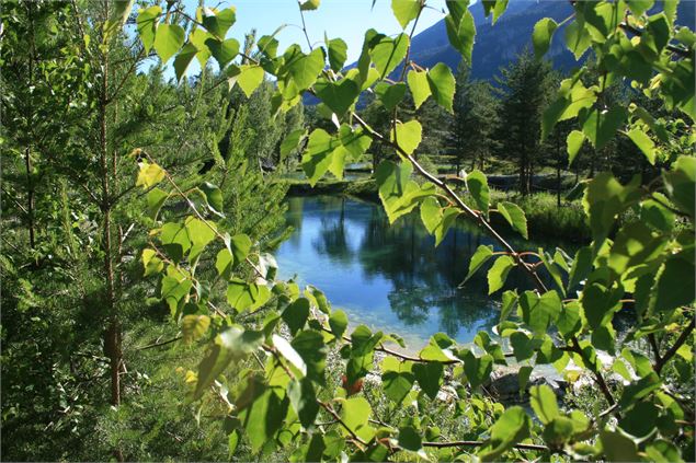 Itinéraire VTT, circuit des truites à Val Cenis - CCHMV