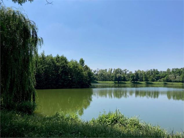 Etang