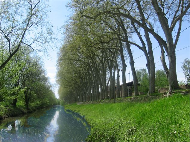Canal de Thoissey