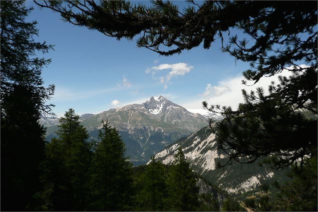 Route touristique du Planay, des mélèzes aux prairies - OT Haute Maurienne Vanoise - Ingrid Pauwels 