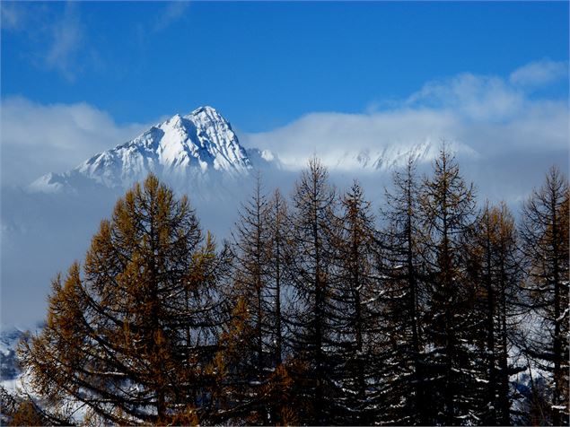 Vue sur le Mont-Blanc hiver - OT Peisey-Vallandry
