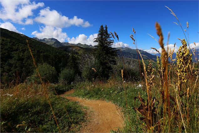 Parcours VTT cross-country 