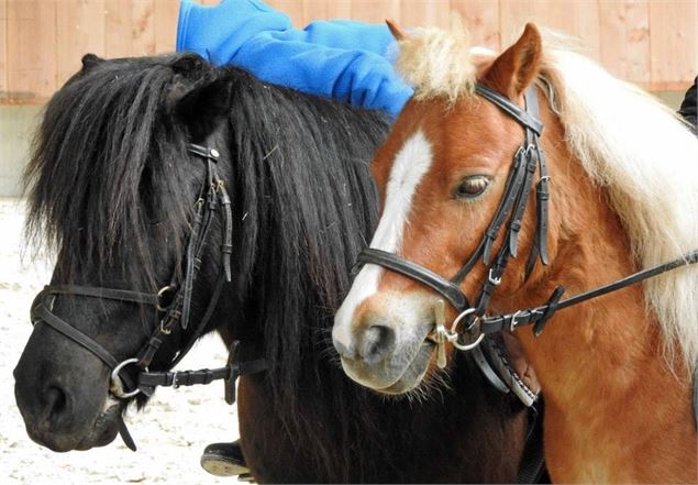 Asso Cheval Notre Passion Ste Marie de Cuines 2018 - Asso Cheval Notre Passion