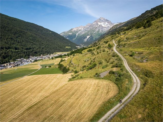 Descente dans les prés sur Val Cenis - A Pernet