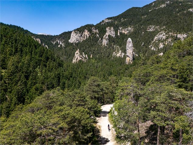 Vttiste sur le parcours  dans la foret avec au loin vue sur le monolithe de Sardières - A. Pernet