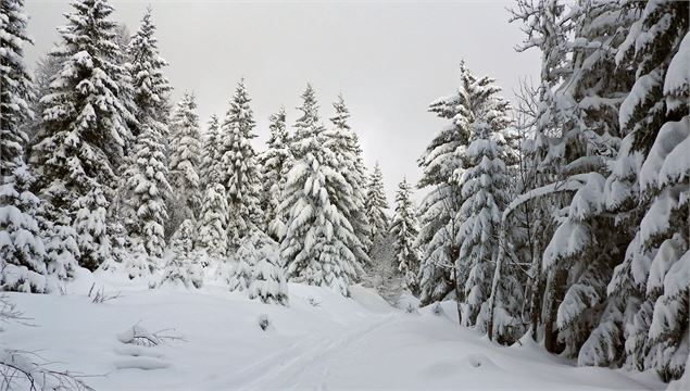 Montsapey en raquettes - OT Porte de Maurienne