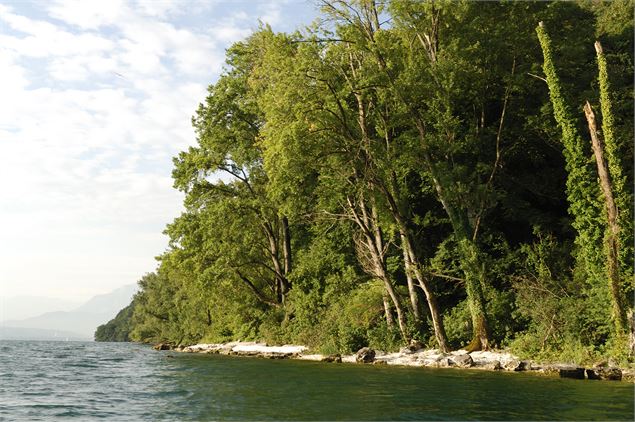 Plage-des-meuniers-lac-du-bourget - ©G_Lansard