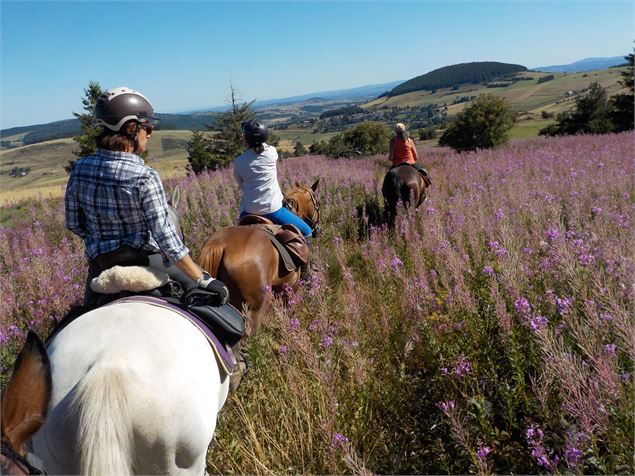 randonnee cheval vallee de joux