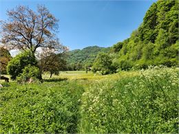 Hameau Chez Martin - Mole & Brasses Tourisme