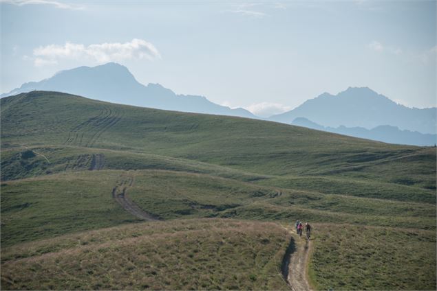 VTT Cross country - Le Col de Véry - E. Molle