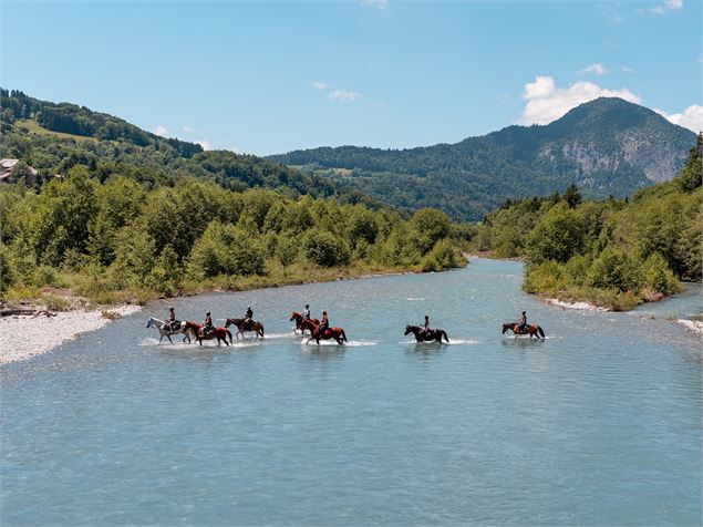 Les Paddocks du Mont-Blanc