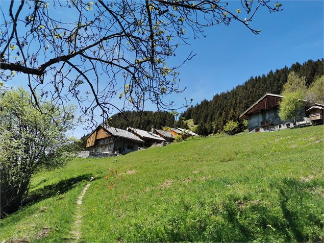 Bâtisses - OT Champagny