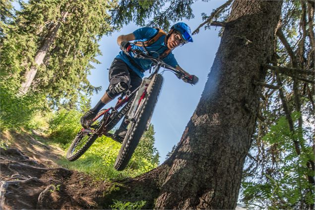 VTT Cross country - Plan des Loups - E. Molle