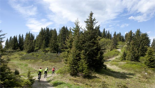 Tour du bois de Covetan - Jean Luc Armand