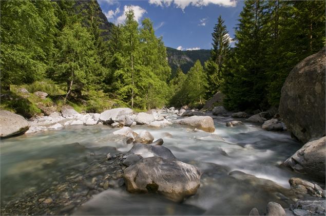 Le Torrent des Glaciers - © FSPPMA - Laurent MADELON