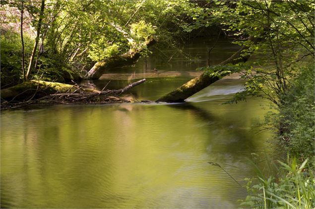 L'Aitelène - © FSPPMA - Laurent MADELON