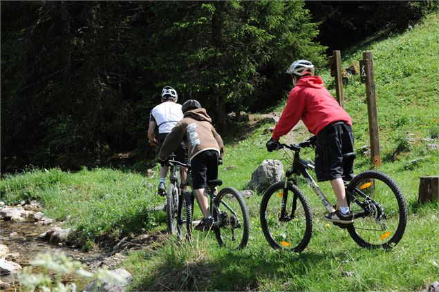 VTT dans les Portes du Soleil - JF Vuarand